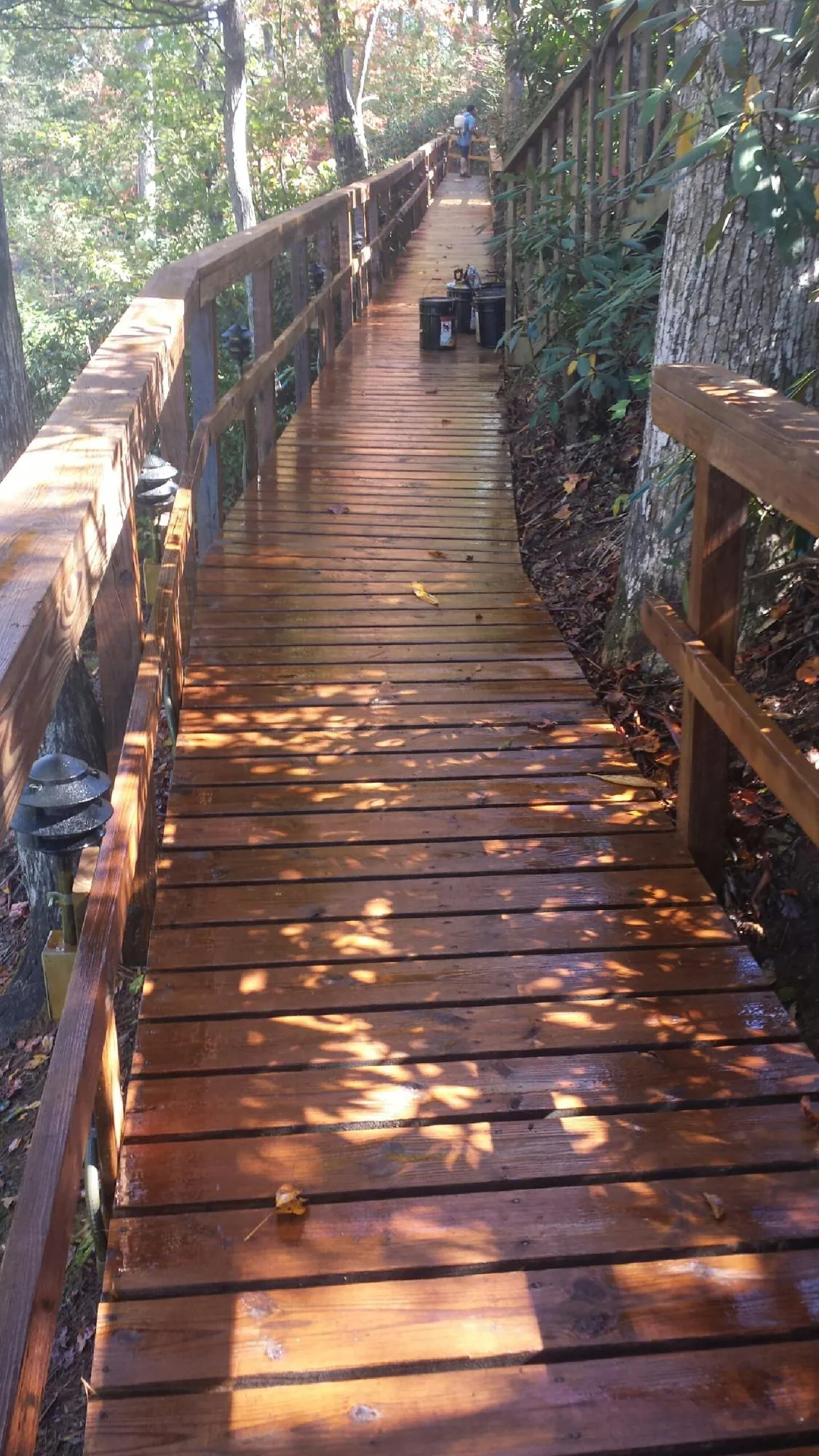 Freshly stained wood walkway winding through the woods in Byron